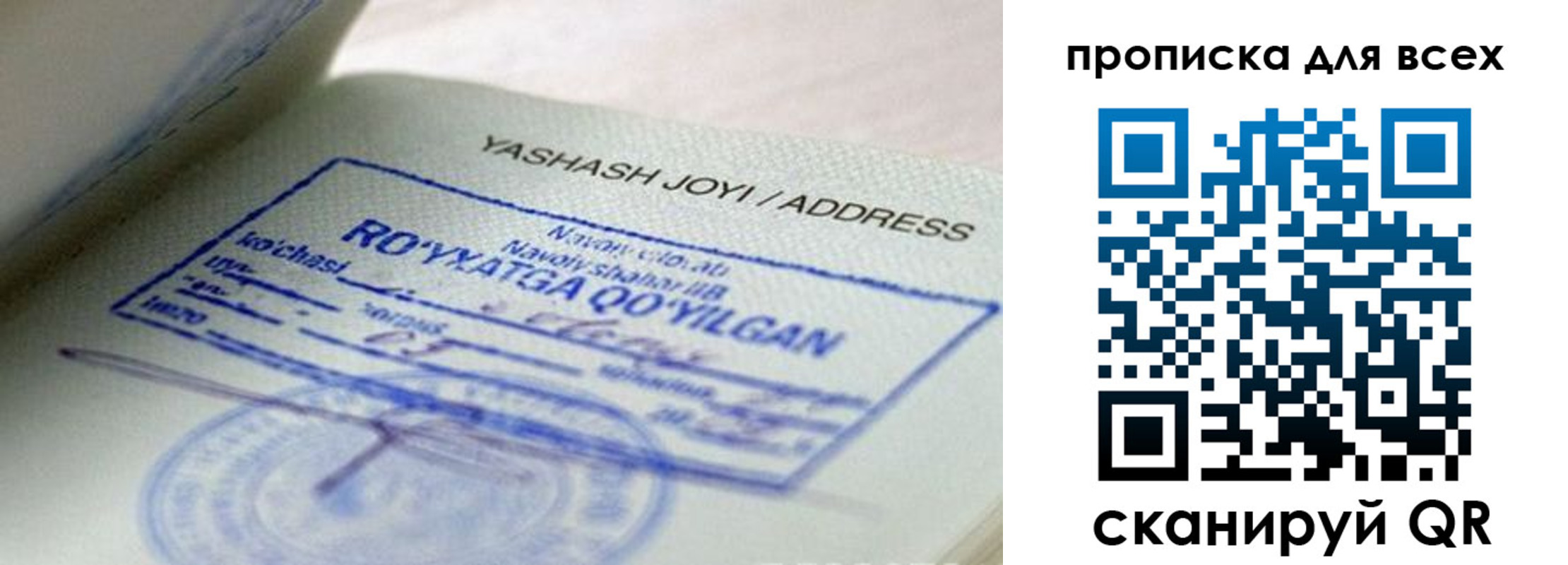 временная регистрация поиск в Белгородской области